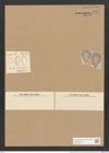 Surirella pyriformis Kitton (de-Toni-Nr.: Genus 53, Species 2388) Zeichnungen Sammlung Grunow Nr. 4794 (NHMW-BOT-W0372938)